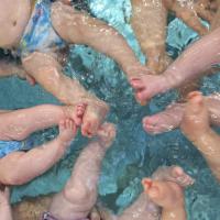 Jahresrückblick 2025